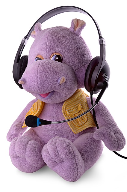 MZ세대 필수 자격증 3가지 관련 사진