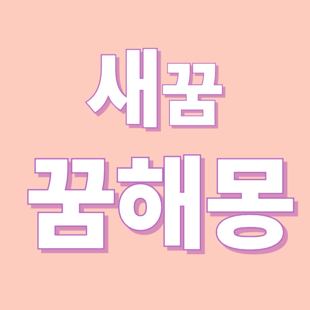 새 꿈 해몽