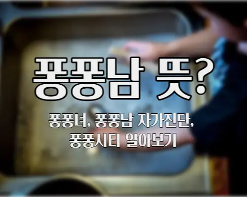 퐁퐁남-뜻