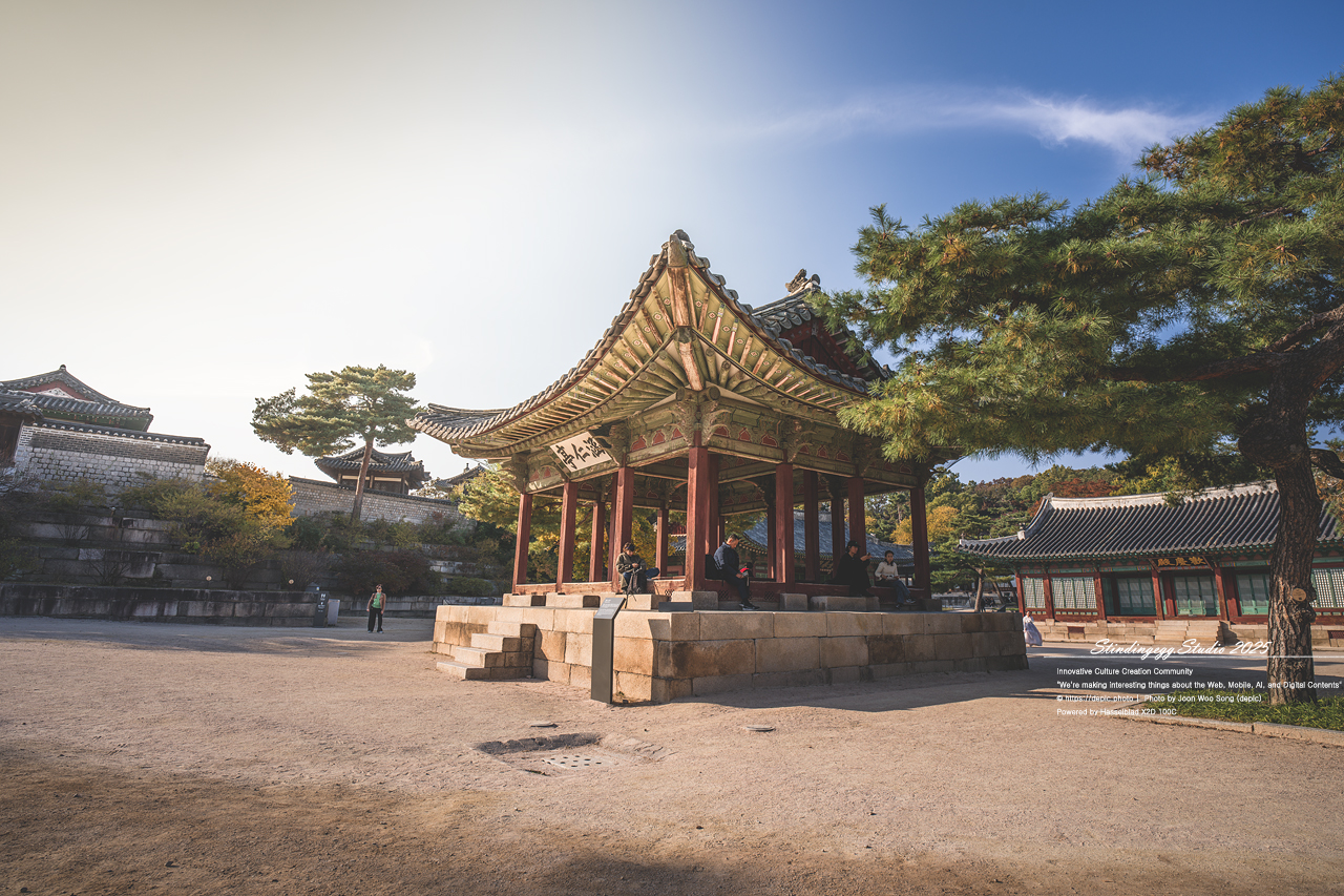 #서울 #창경궁 #궁궐 #조선 #왕