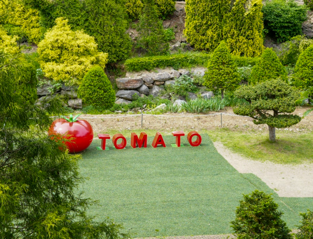 율봄식물원 수국 개화 시작! 광주 근교 수국 명소 완전 정복(개화시기, 입장료, 주차, 포토존 등)