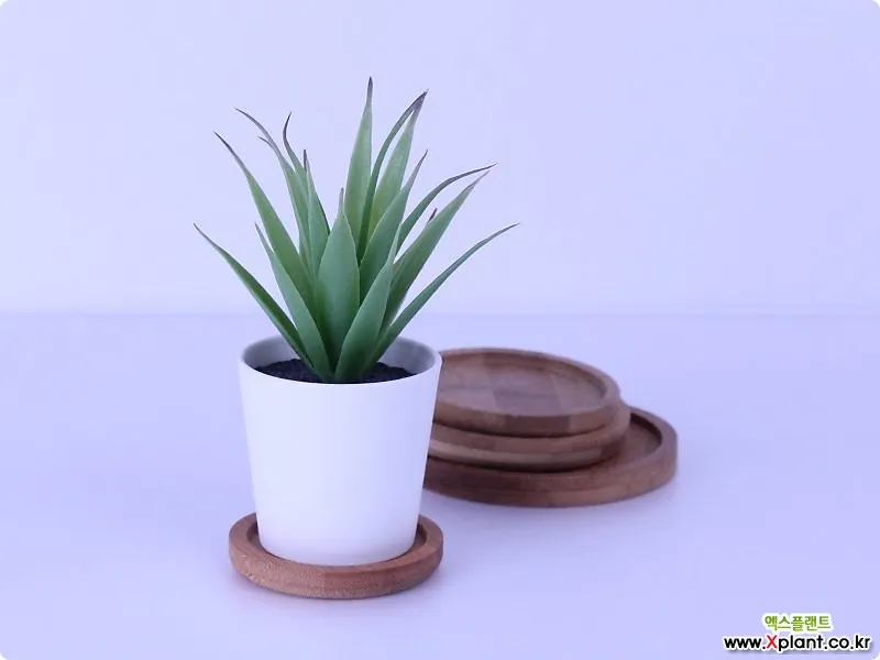 화분 받침 바퀴카트 이동편의 허리부담 줄이는 방법_5