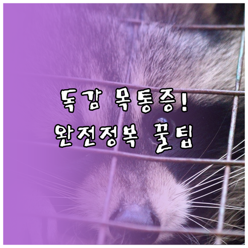 A형 독감 목 통증 관리 수분 섭취와..