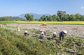 농지취득자격증명 요건