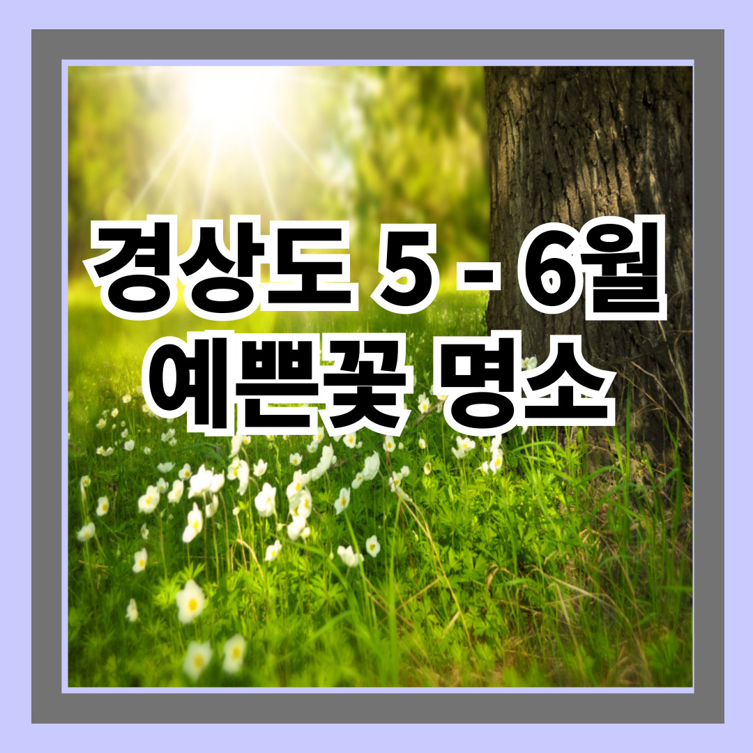 경상도 5 - 6 월 예쁜꽃 명소