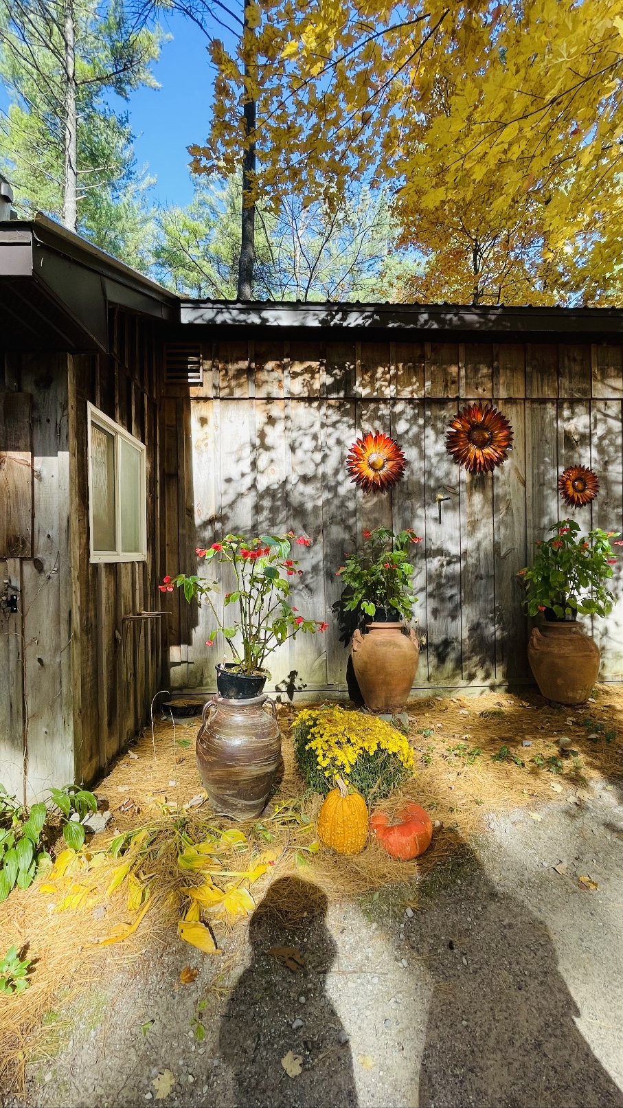 캐나다 런던 근교 하루 힐링 여행지 파인크로프트: 도자기체험, 티룸, 산책