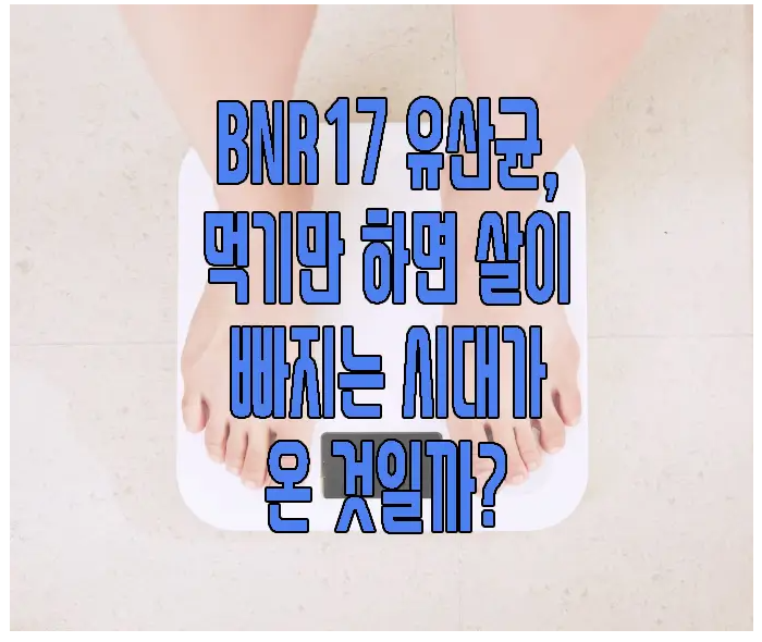 BNR17에 관한 글 보러 가기 링크 사진
