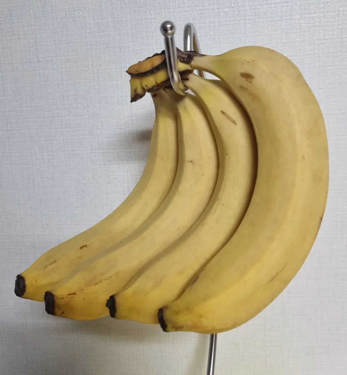 1일차-실온-시작