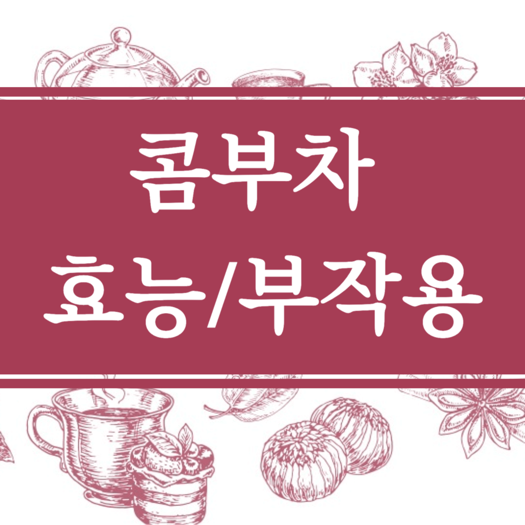 콤부차 효능과 부작용, 마시는법