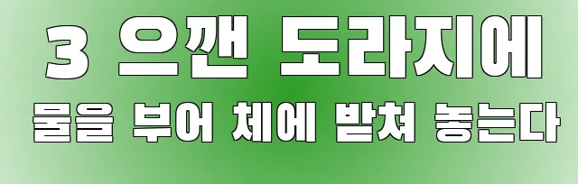  3 으깬 도라지에 물을 부어 체에 받쳐 놓는다