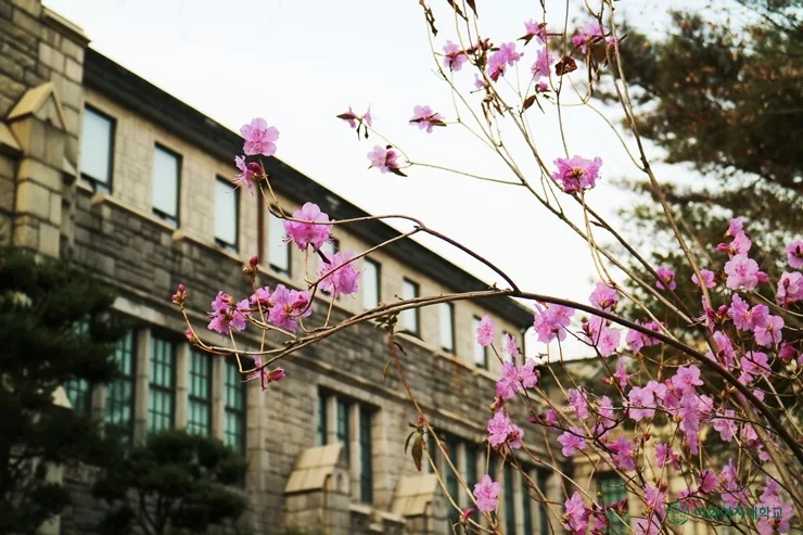 대학가 노출증 사건