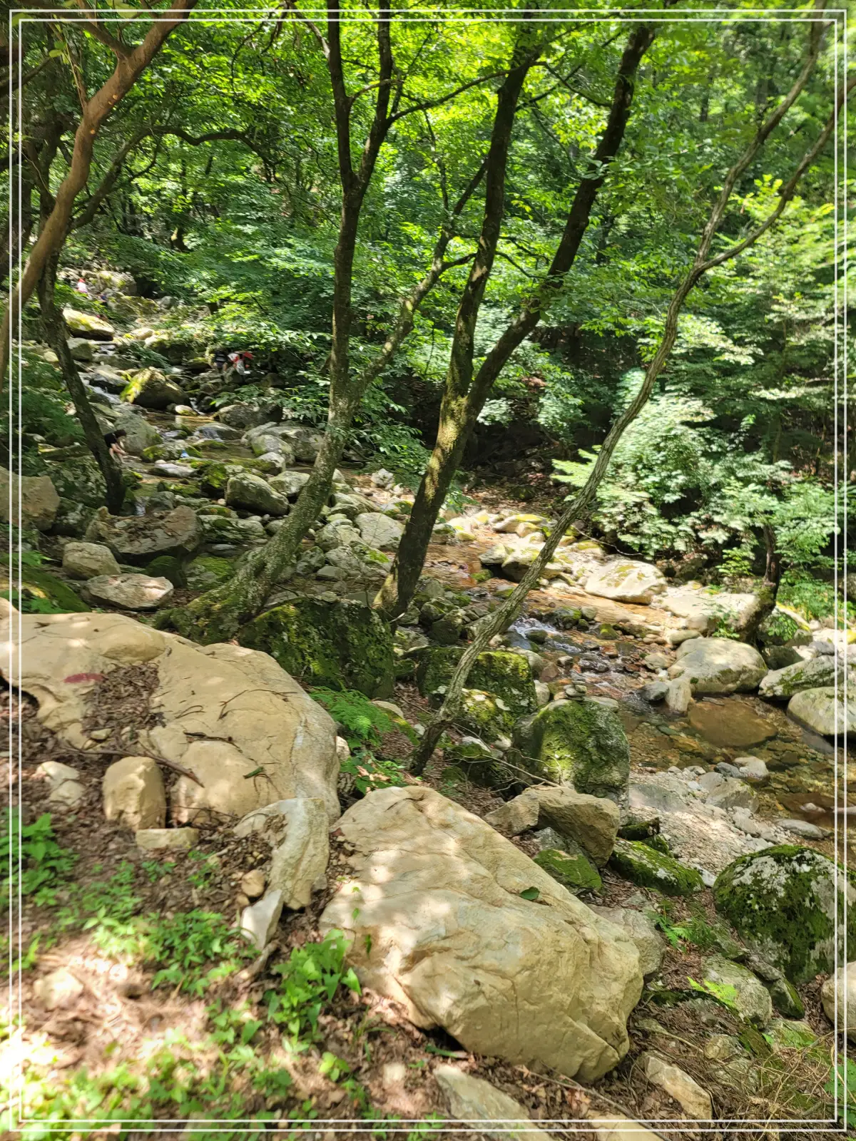 용문사-20250808_134954