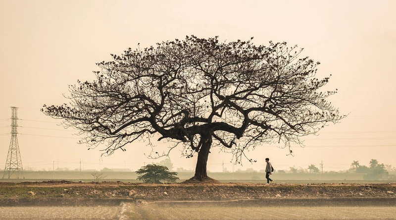 전기배선의 중요성