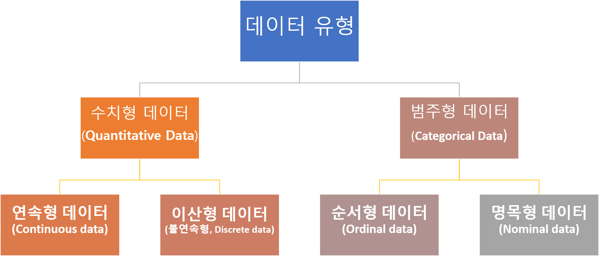 데이터 유형