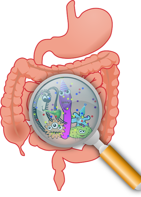 장내 바이러스 면역과 질병의 연결고리 관련 이미지