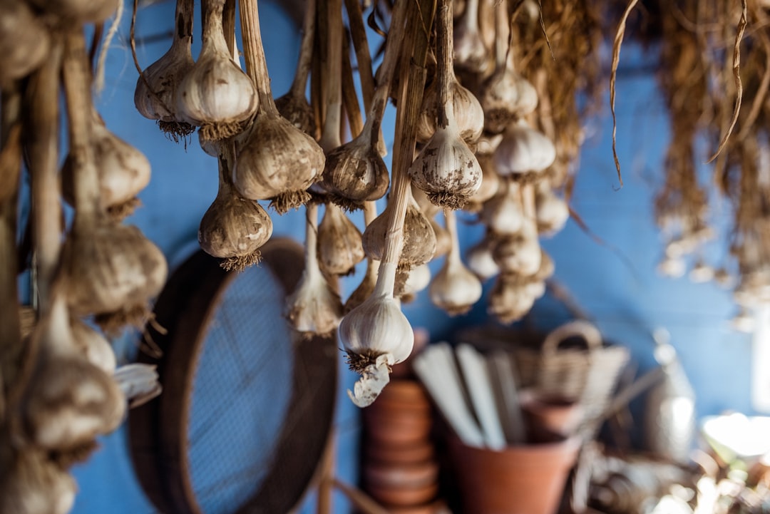 Garlic.