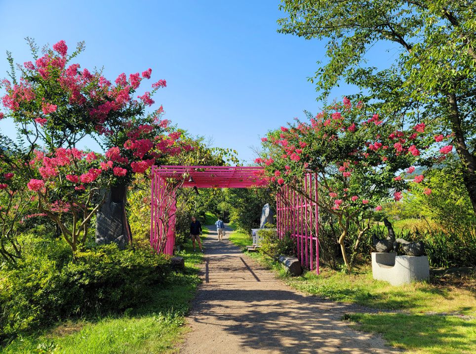 보령 가볼만한곳 베스트10 개화예술공원