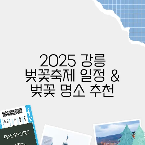 2025 강릉 벚꽃축제 일정 & 벚꽃 명소 추천