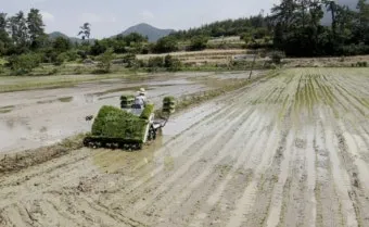농사 물 관리 비가림 설치 배수로 정비 가뭄 대비 빗물 저장_25