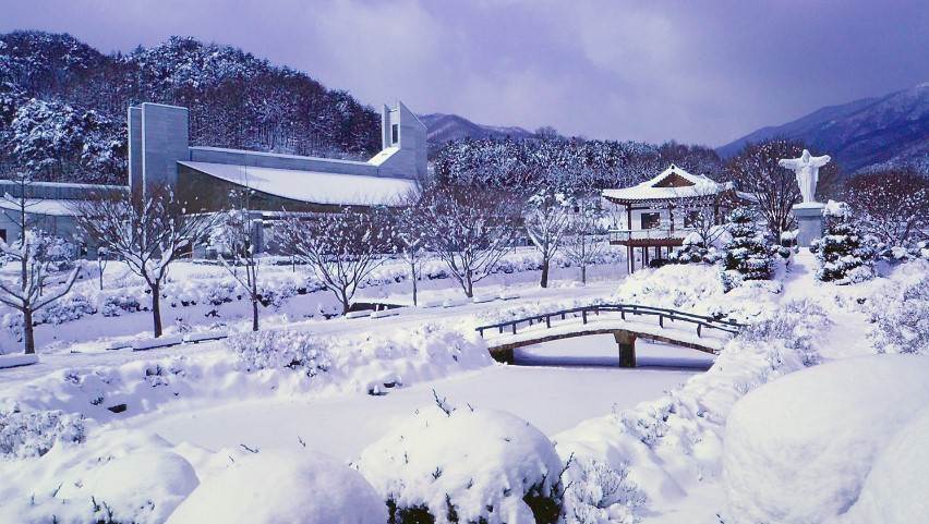 제천시 경제활력지원금 20만원 신청방법