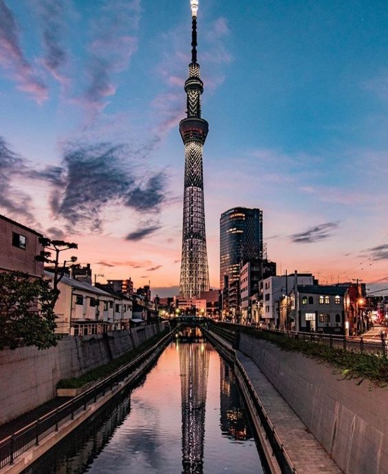 도쿄 자유여행 추천 관광명소 디즈니랜드 놀이기구 추천 TOP 7