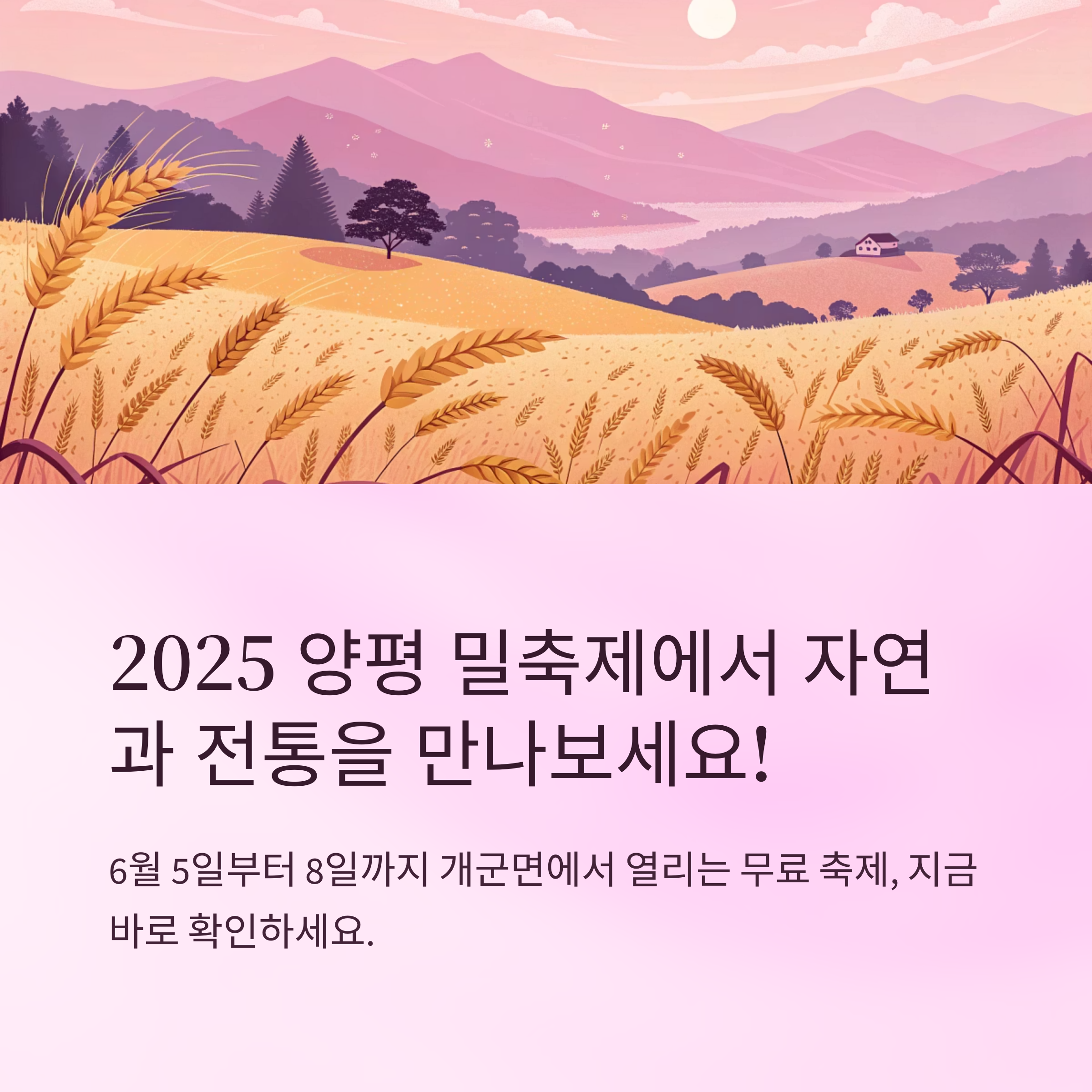 양평군 밀축제 언제 어디서 열리나