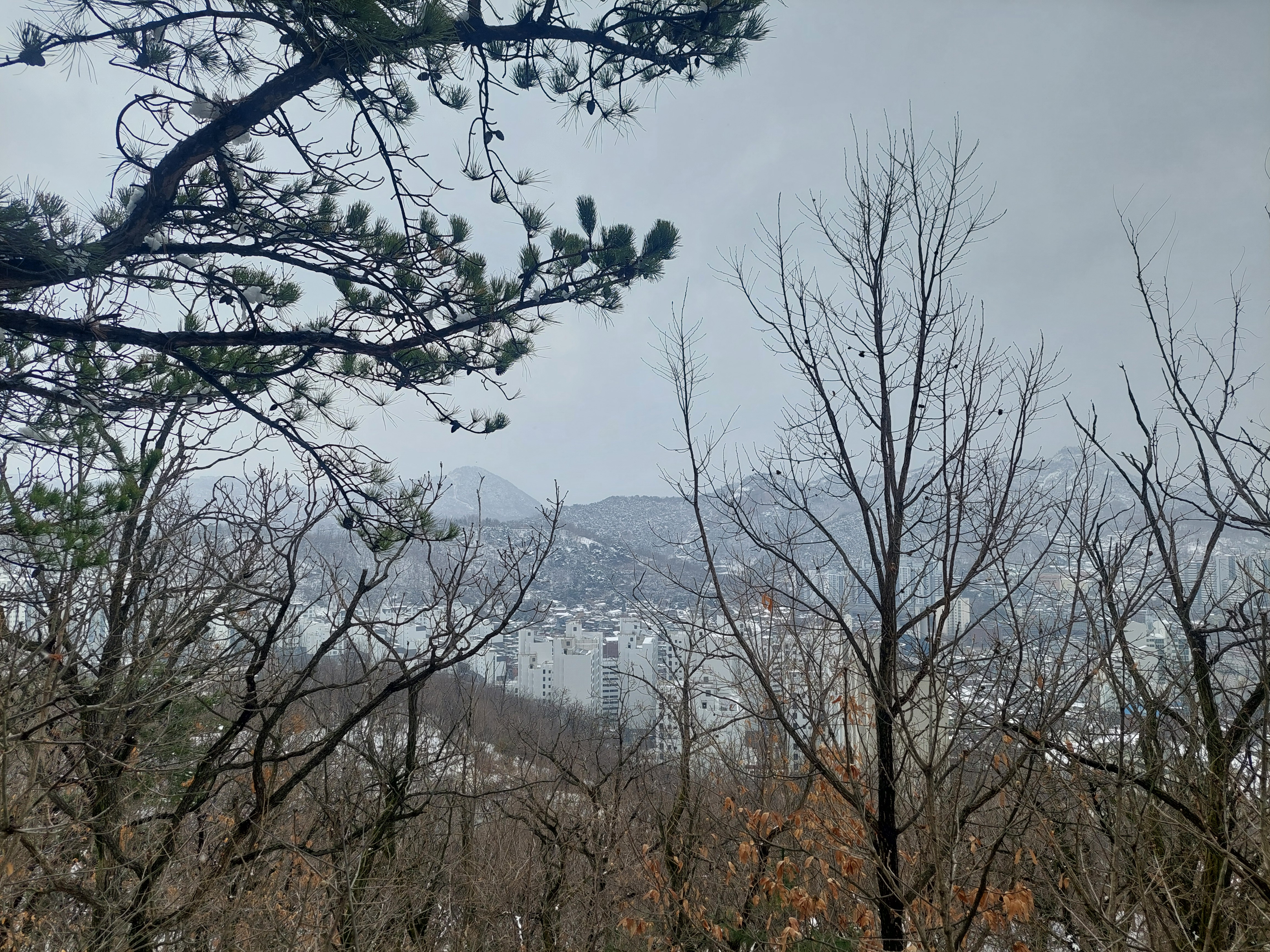 북한산 자락길