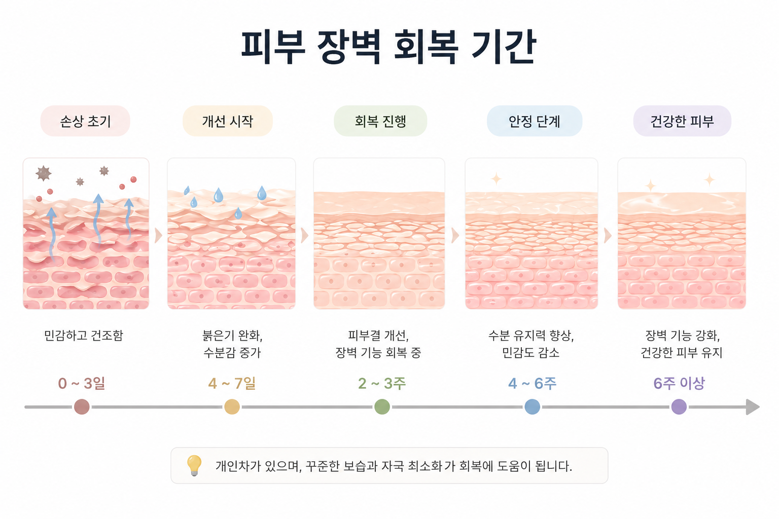 피부 장벽 회복 기간 타임라인