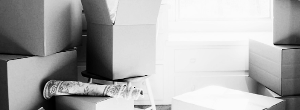 경력이 5년 이상된 업체