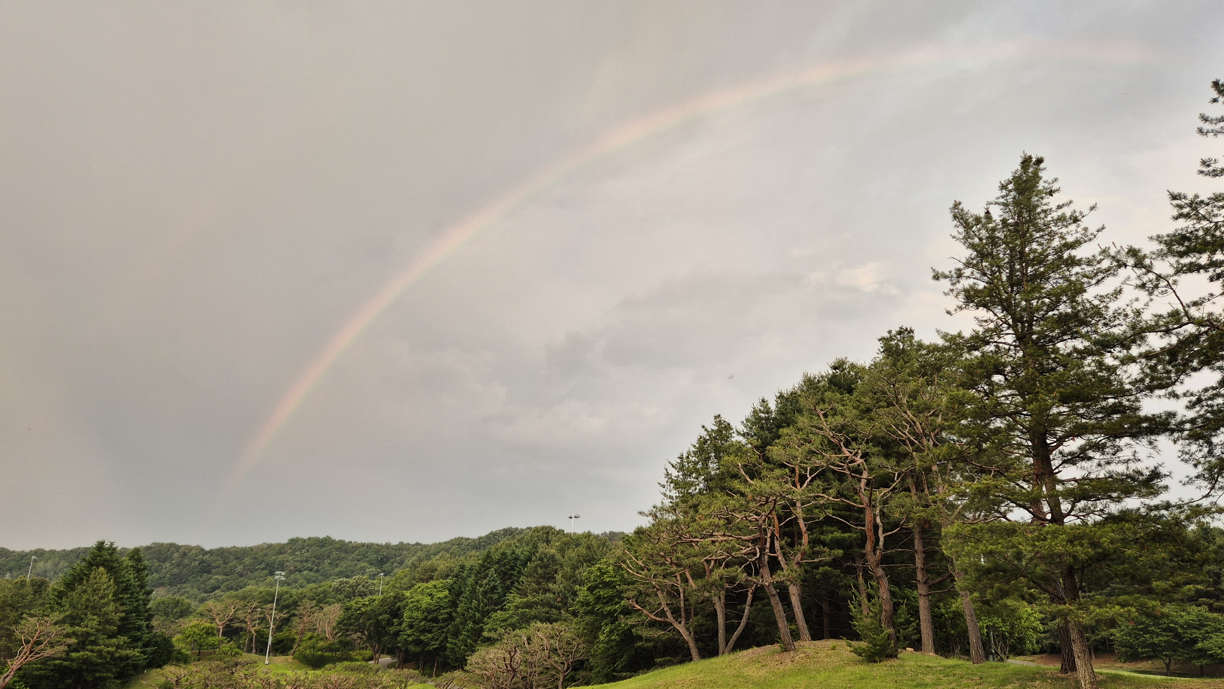 이포cc 라운드 후기