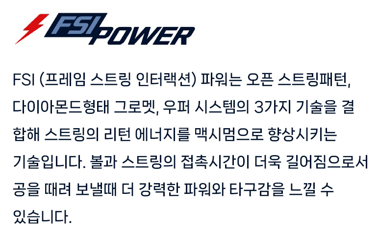 FSI 파워