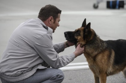 《팔마 (A Dog Named Palma, 2021)》 – 줄거리, 인물, 감상 포인트, 수상, 제작 비하인드