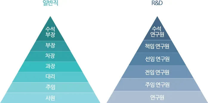 회사 직급체계 순서별 직책 직위 조직 구조 정리_2