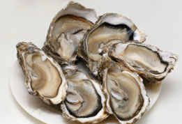 부모님 영양제 추천 영양소 아연