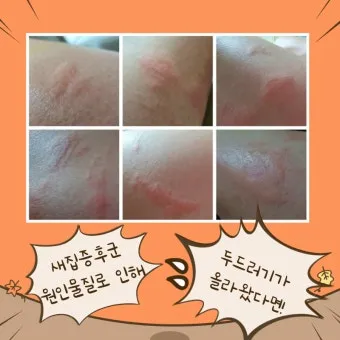 새집증후군 원인 제거 방법 포름알데히드 완전 가이드_24