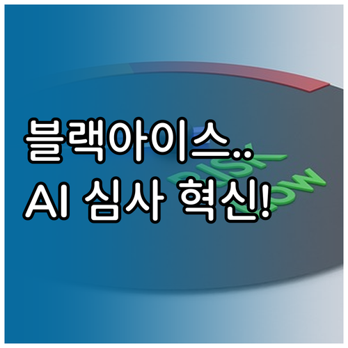AI 분석을 활용한 블랙아이스 등 복..