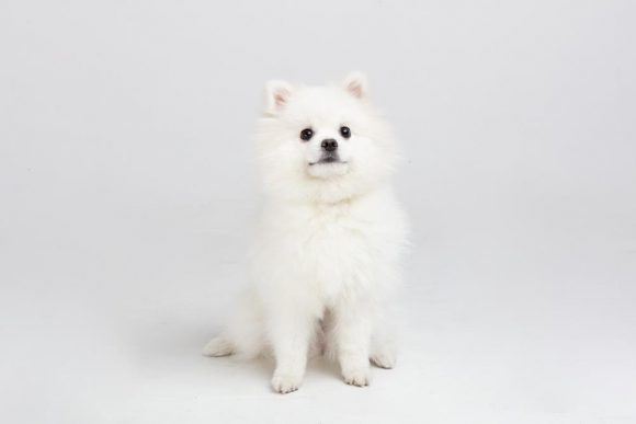 오늘의-운세-2023년-12월-26일-오늘의-띠별-운세