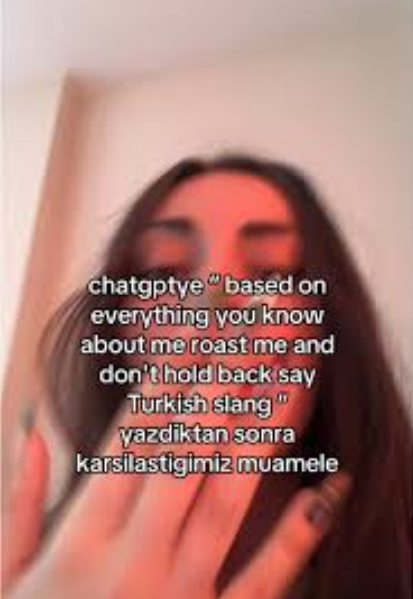 based on everything,roast me,챗GPT 팩폭,챗GPT 프롬프트,roast me 뜻,chatgpt 챌린지