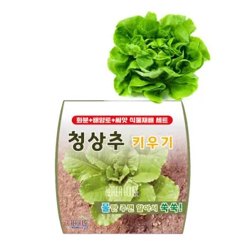 청상추 재배 모종 선택 잎 수확 습도 관리_32