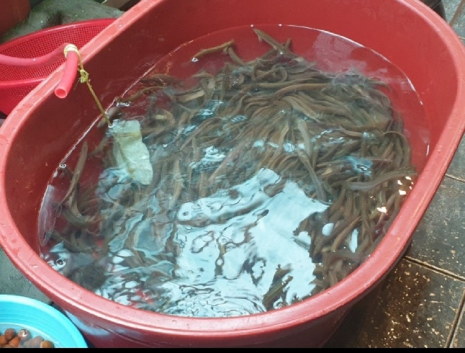 안동-4대-추어탕