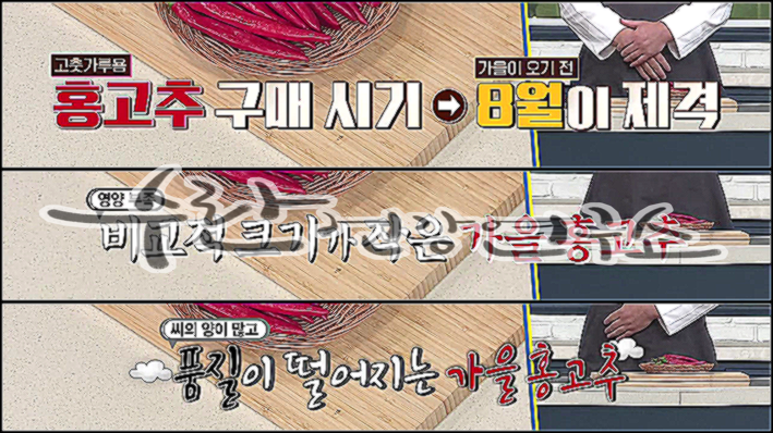 고추씨 활용법