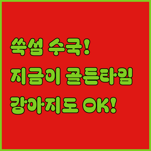 전남 고흥 쑥섬 수국 여행 골든 타임..