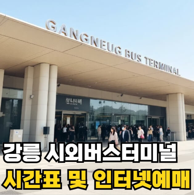 강릉 시외버스터미널 시간표 및 인터넷예매