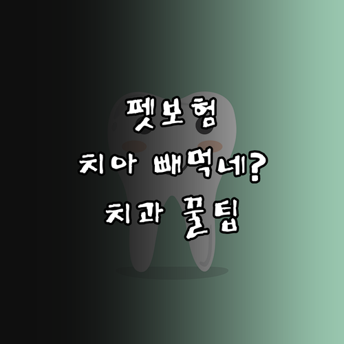 펫보험 치과 치료 제외 기준과 구강 ..