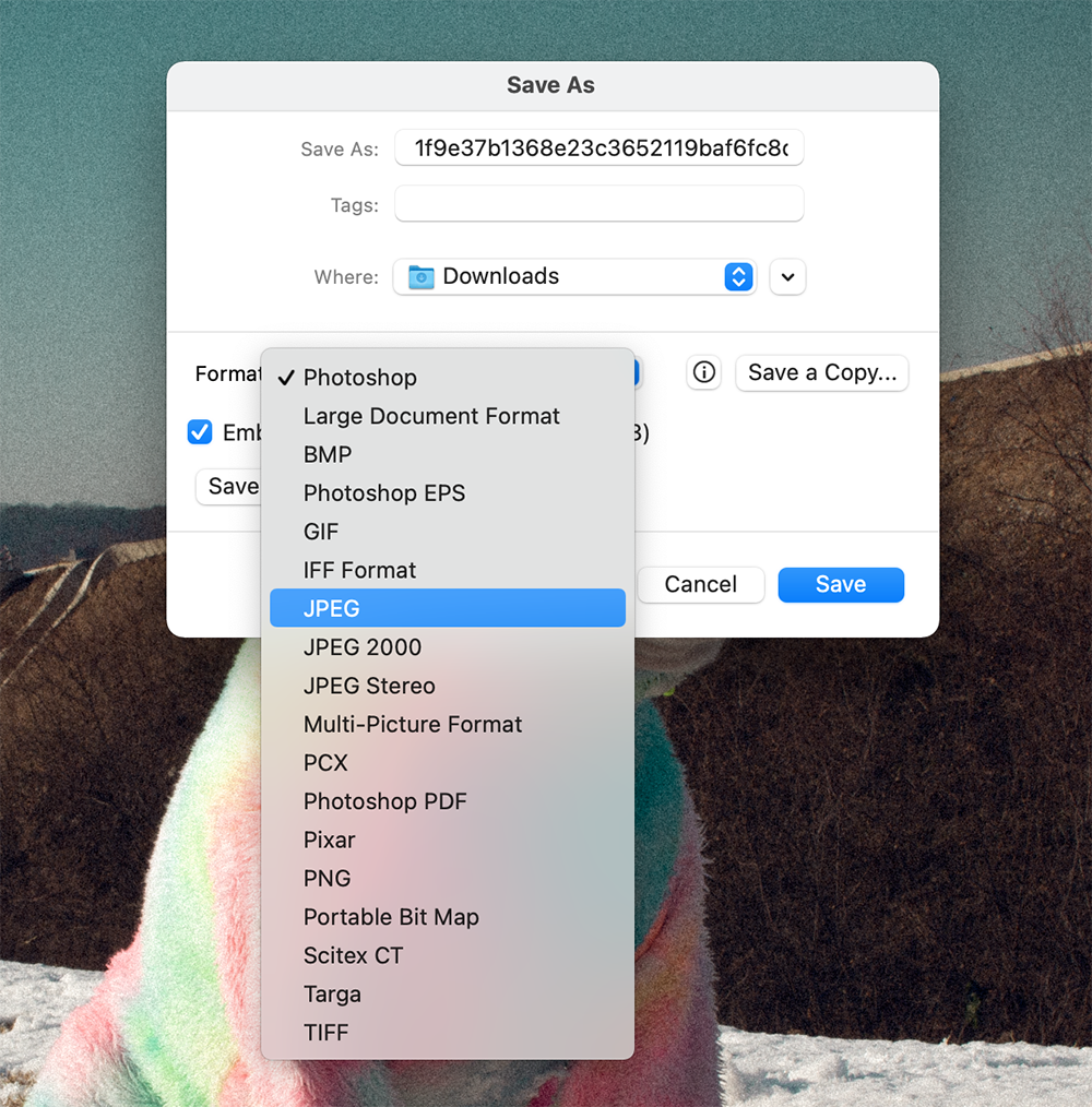 JPEG로 저장하기