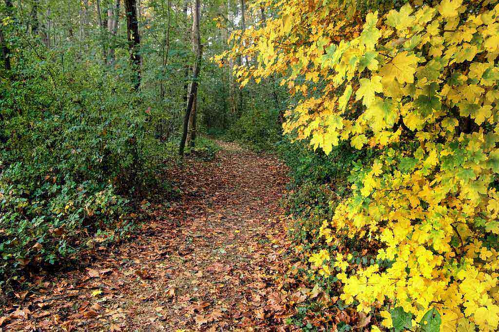 기초연금이란? 기본 개념과 필요성에 대해 알아보자