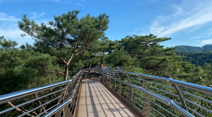 원주/핫플레이스/소금산/그랜드밸리