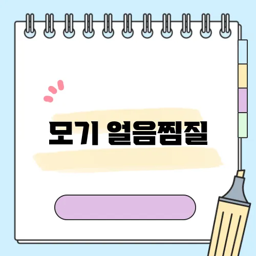 모기 얼음찜질