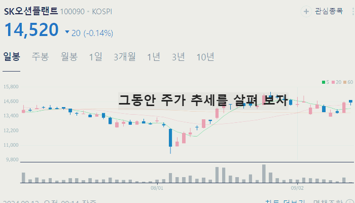 해리스 관련주 미국 대선 주식 TOP7