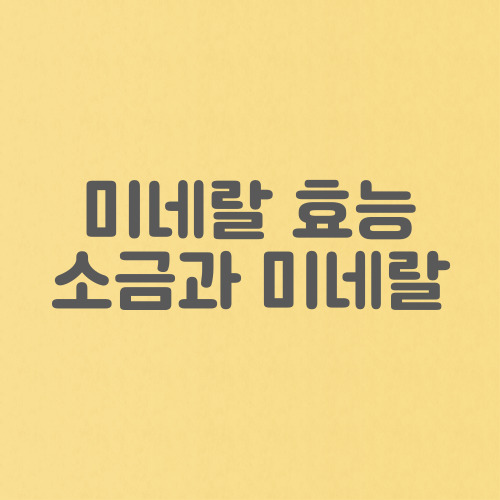 미네랄 효능 및 미네랄이 필요한 이유, 소금과 미네랄 관계